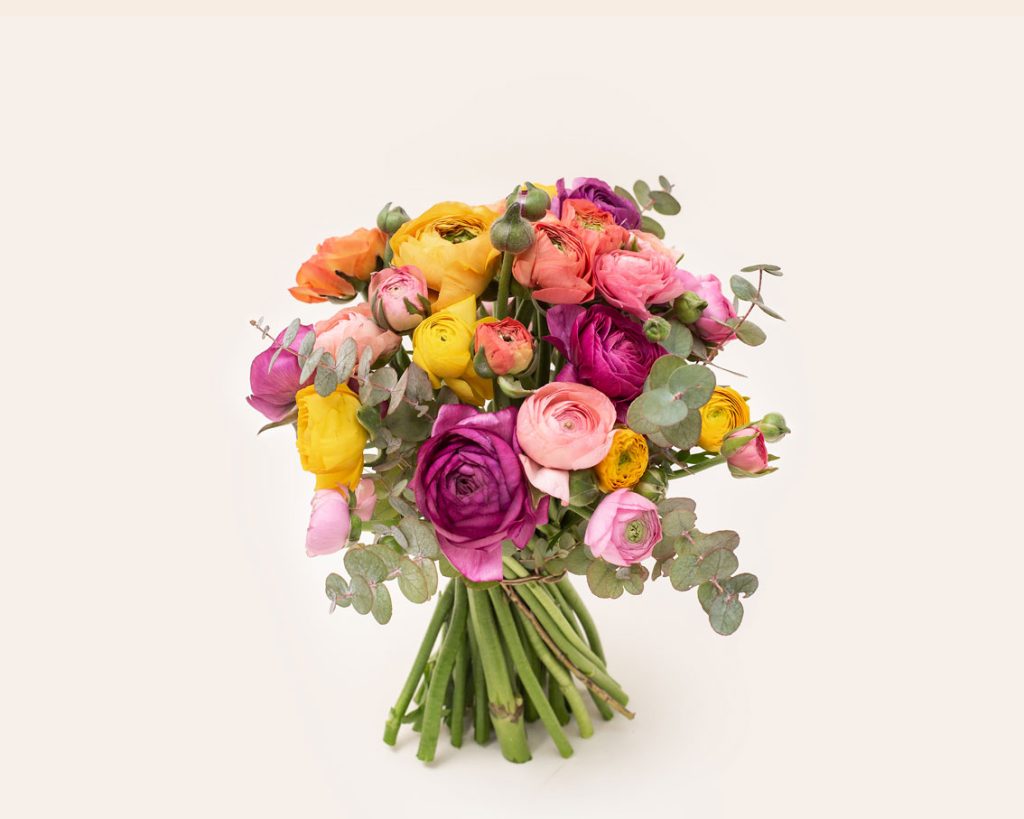 Bouquet of ranunculus in varied shades