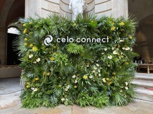 evento_celo-connect-entrada